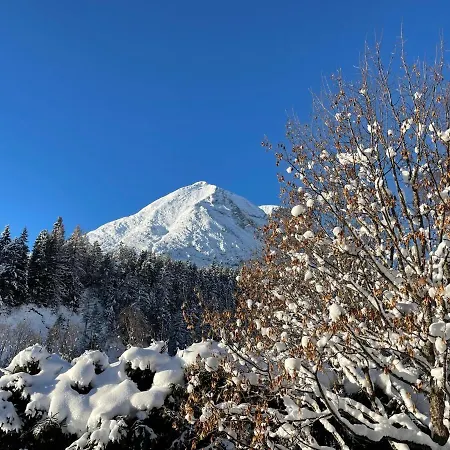 شقة W8 Haus Ganghofer لوتاش