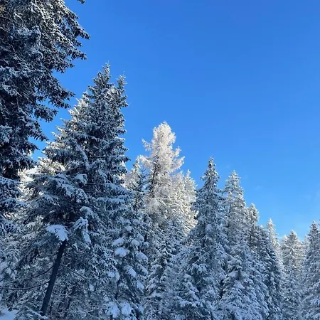 Appartement W8 Haus Ganghofer