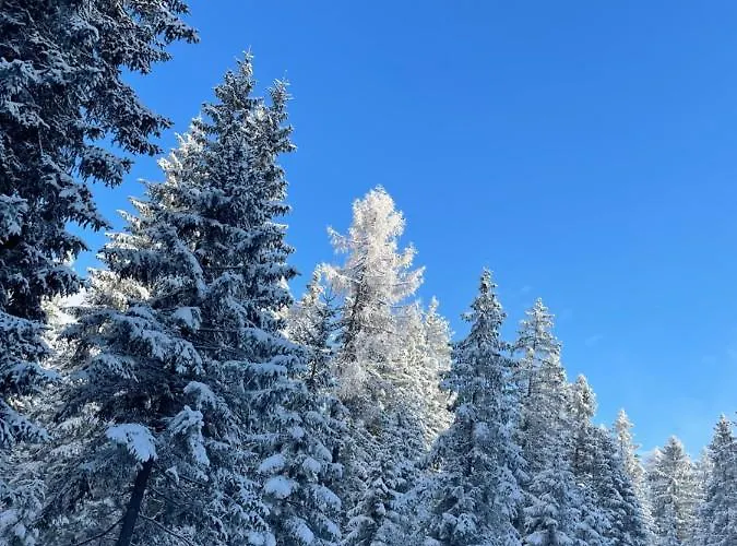 Appartement W8 Haus Ganghofer